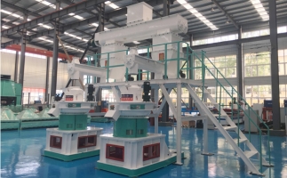 木屑顆粒機(jī)多少錢一臺?建顆粒廠大約多少錢？