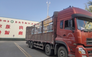 忙碌的五月，忙碌的發(fā)貨，金格瑞顆粒機生產(chǎn)線發(fā)往全國各地