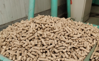 在燃燒時(shí)，水分大的生物質(zhì)顆粒會(huì)出現(xiàn)哪些問題？