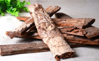 木材加工廠的廢棄物刨花能夠用來做什么？鋸末顆粒機告訴你