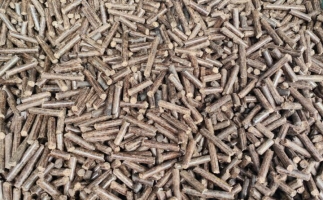 鋸末顆粒機加工的顆粒燃料價格主要受哪幾個方面的影響？