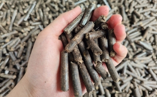 生物質(zhì)顆粒燃料公司前景怎么樣，木屑顆粒機(jī)的顆粒燃料賣給誰的？