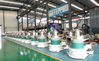 新手開顆粒廠，該選小型還是大型木屑顆粒機(jī)？